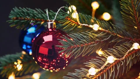 Winter Tree with Glittering Garland Video stock 318740348