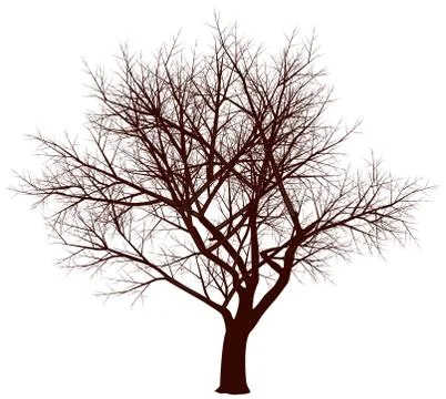 Winter tree Stock-Illustration