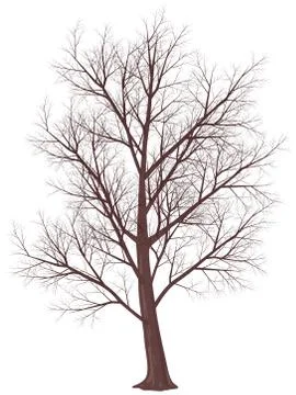 Winter tree Stock-Illustration