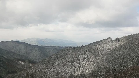 Winter tree on mountain Stock Footage 86165813