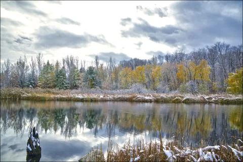 Winter tree reflection in the calm clear water at public park Stock Photos
