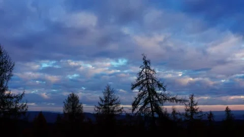 Winter tree silhouettes in front of a beautiful sundown filmed in 4k Stock Footage 144283425