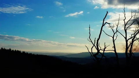 Winter tree silhouettes in front of a beautiful sundown filmed in 4k Stock-Footage 144330677