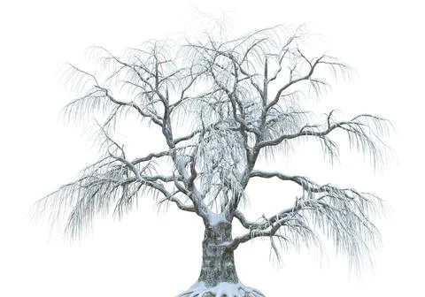 Winter tree in the snow isolated on white background 3d illustration Stock Illustration