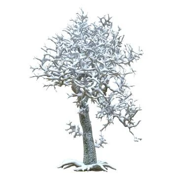 Winter tree in the snow isolated on white background 3d illustration Stock Illustration