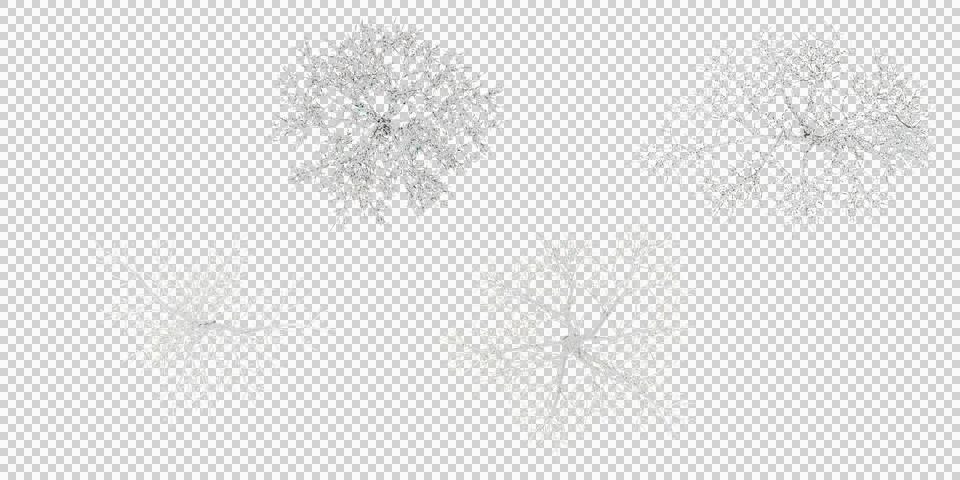 Winter tree on snow isolated in white background from top view Stock Illustration