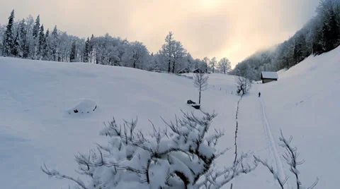 Winter tree. snow winter landscape. mountains nature. aerial view. fly over Stock Footage 34554300
