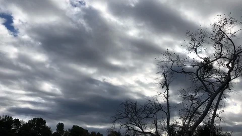 Winter Tree With Storm Clouds Time lapse Stock Footage 103471115