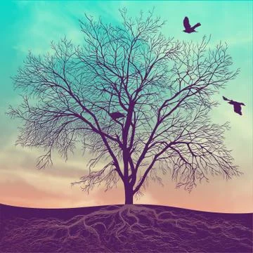 Winter tree at sunset Stock Illustration