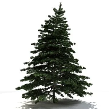 Winter Tree V5 3D Model