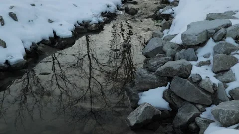 Winter Tree Water Reflection Stock Footage 169893317