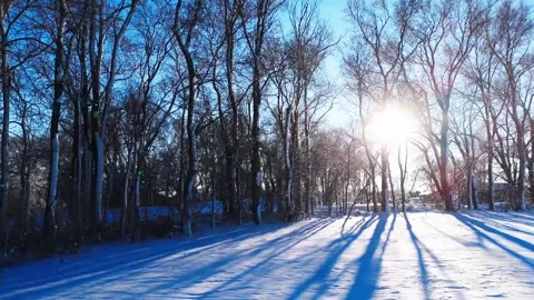 Winter Trees (2) 스톡 동영상 321972996