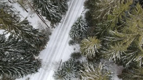 Winter-trees-aerial-ascending-sumava 動画素材 99335563