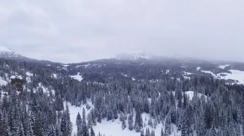 Winter Trees Against Mountain 스톡 동영상 61013272