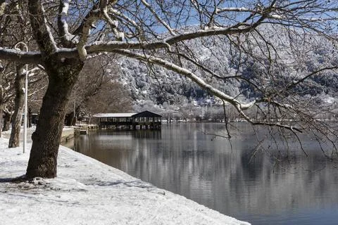 Winter trees and river, izmir. Bozdag, izmir Stock Photos