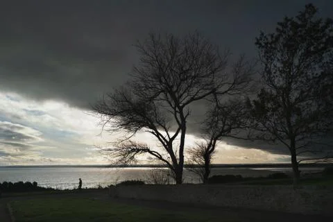 Winter trees with a back drop of a heavy storm cloud cutting through the sky Fotos de archivo