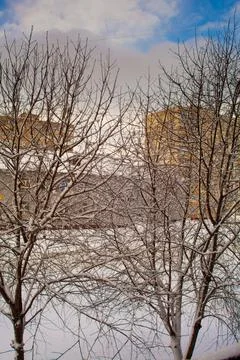  Winter trees on the background of high-rise buildings in the image it is writte Stock Photos