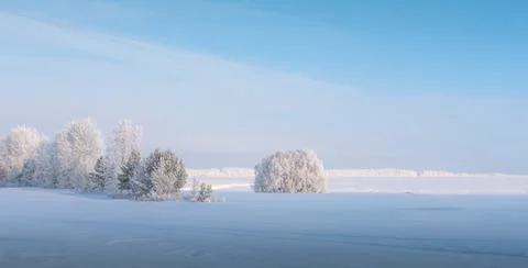 Winter Trees, Branches are covered with thick white frost. Blue sky over fog. Stock Photos