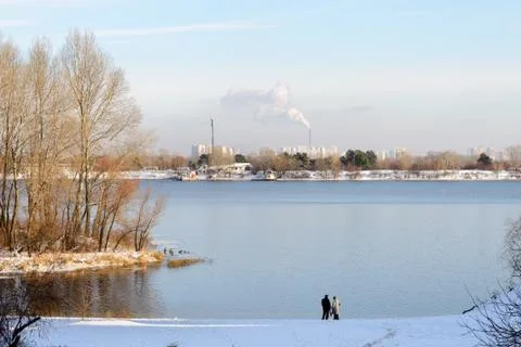 Winter Trees  Close to the Dnieper River 写真素材