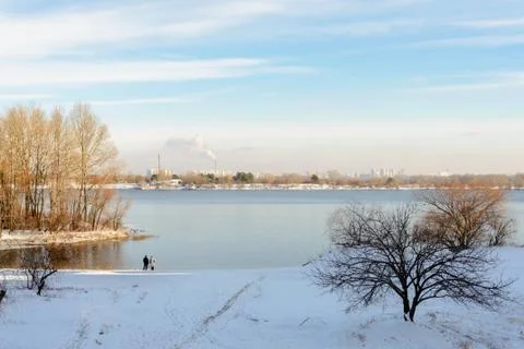 Winter Trees  Close to the Dnieper River Фото