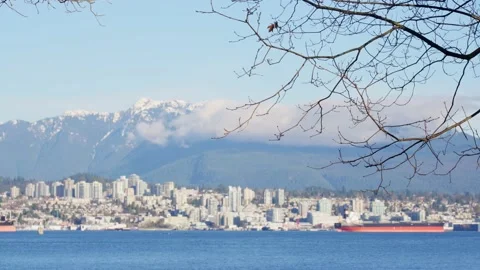 Winter trees on the coast in winter with snow-covered mountains in the distance Stock Footage 147315647