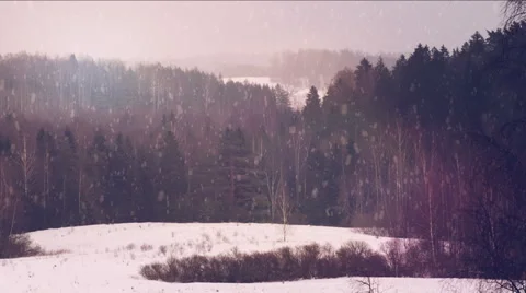 Winter trees covered snow. 動画素材 58031651