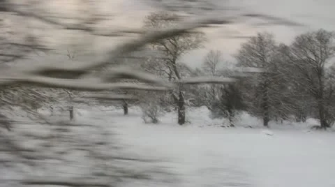 Winter trees Stock Footage 12211580