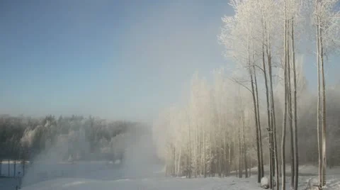 Winter trees. Stockbeeldmateriaal 12756670