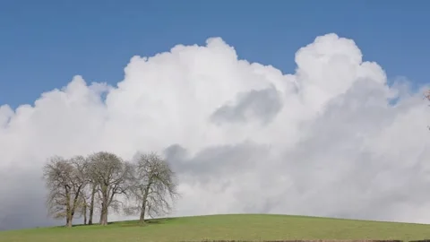 Winter trees on a hillside, Britain, UK Video stock 323121077