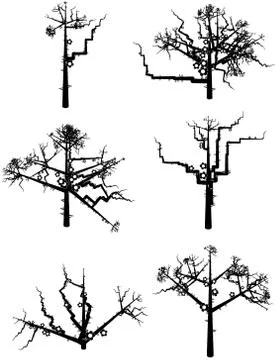 Winter trees Stock Illustration