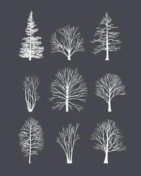 Winter trees illustration Stock Illustration