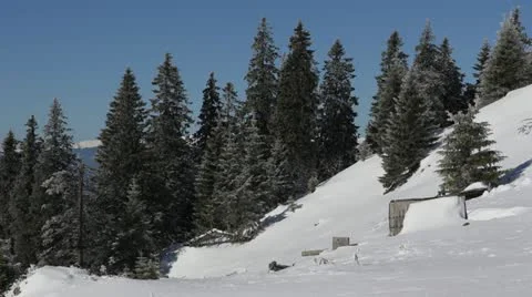 Winter Trees in Mountains Covered with Fresh Snow Highlands Scenic Horizon Sunny Stock Footage 21991762