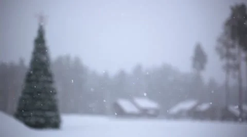 Winter trees in mountains covered with fresh snow during snowfall and Christmas Stock Footage 53213642
