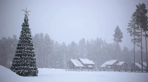 Winter trees in mountains covered with fresh snow during snowfall and Christmas Stock Footage 53213909