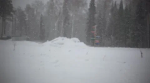Winter trees in mountains covered with fresh snow during snowfall. Changes focus Stock Footage 53215122