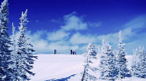 Winter trees in mountains covered with fresh snow in slow motion and Stock Footage 67307737