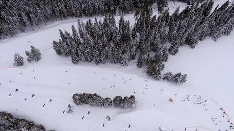 Winter trees in the mountains Video stock 99209541