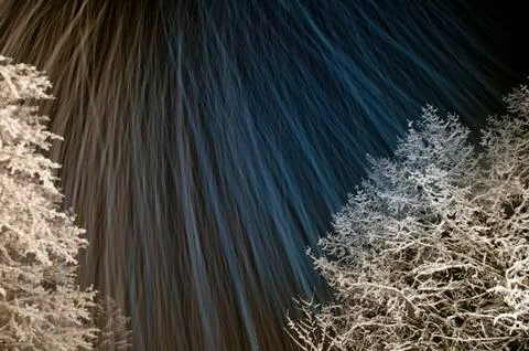 Winter trees at night Stock Photos