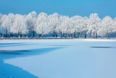 Winter trees Foto stock