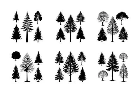 Winter trees silhouette collection. Set of isolated tree vector design Stock Illustration