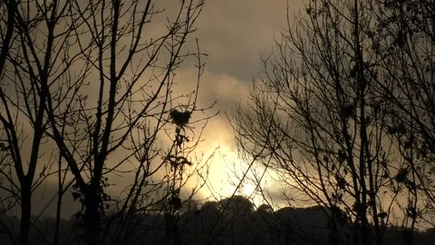 Winter Trees in Silhouette at Sunset with Stormy Clouds Stock Footage 258159191