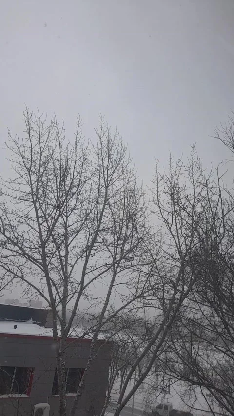 Winter, trees, sky Vídeos de archivo 147167947