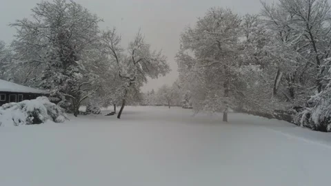 Winter trees with snow - Drone camera moves left, forward, up, &amp; down Stock Footage 137937907