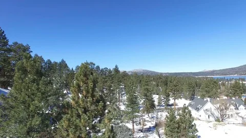 Winter trees in snow Stock Footage 86889585