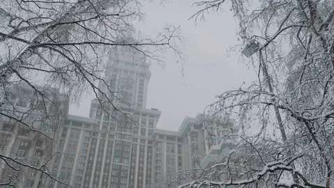  winter trees in the snow near a multi-story building in the city Stock Footage 123991161