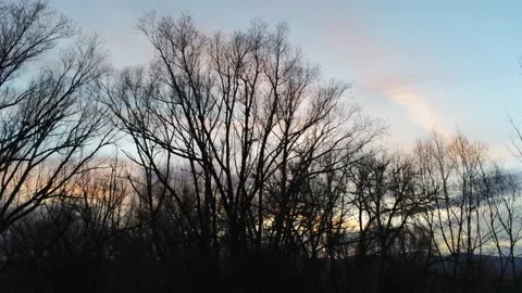 Winter trees in sunset - Drone camera moves down and into trees Stock Footage 138271304