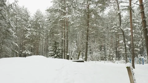 Winter trees under the snow, flying shot in the forest Video stock 101587430