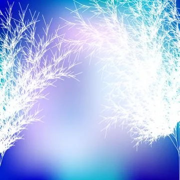 Winter trees  - vector illustration Stock Illustration