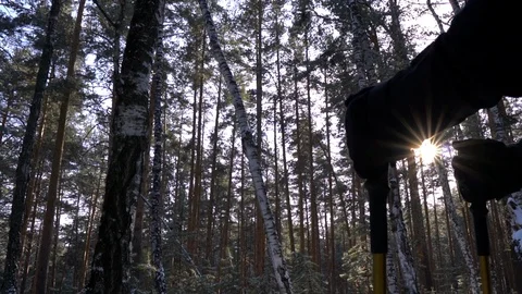 Winter trekking in the forest; man walking on snowdrifts Stock Footage 124210656