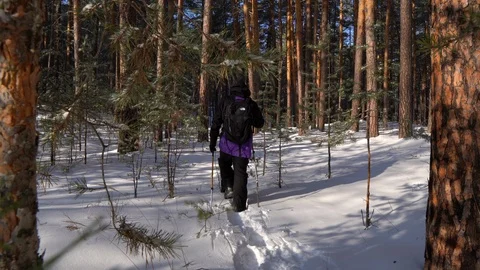 Winter trekking in the forest; man walking on snowdrifts Stock Footage 124210737